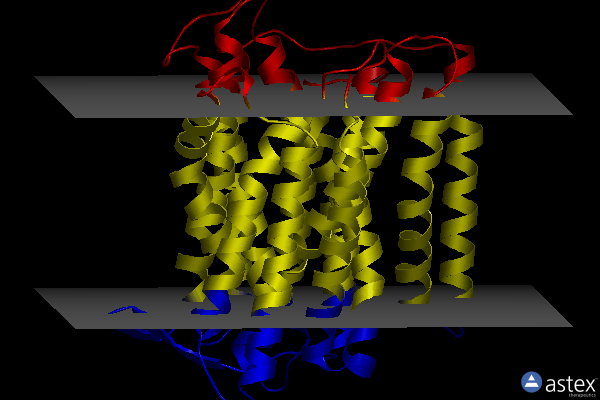 Membrane view of 6gz9