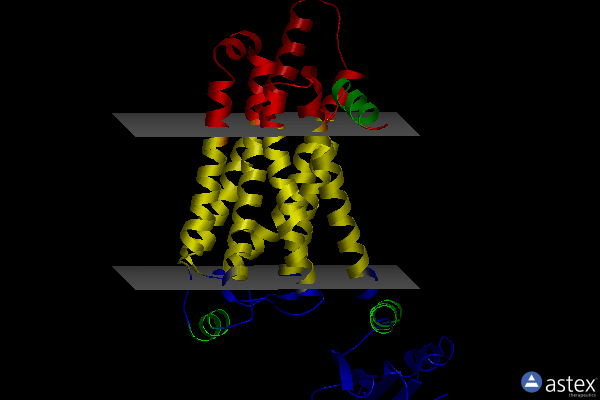 Membrane view of 6h7l