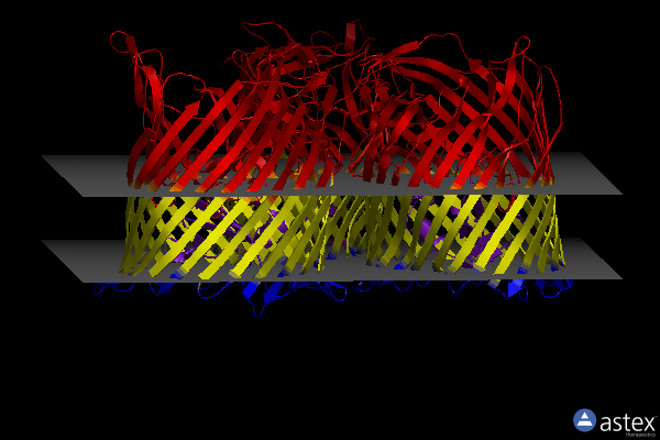 Membrane view of 6hcp