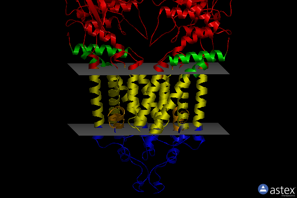 Membrane view of 6hij