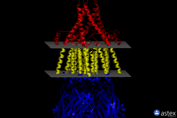 Membrane view of 6his