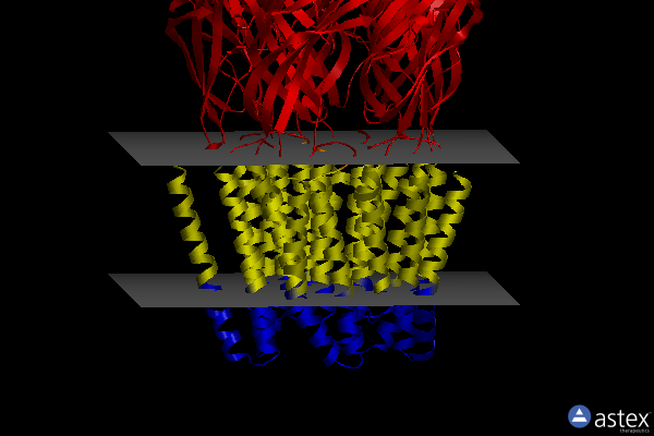 Membrane view of 6hja