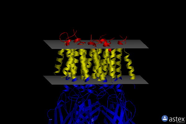 Membrane view of 6hjx
