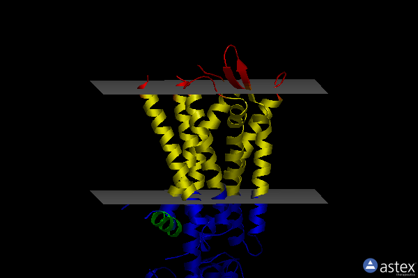 Membrane view of 6hlo