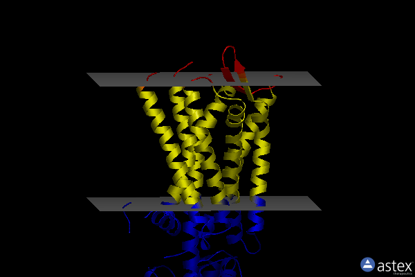 Membrane view of 6hlp