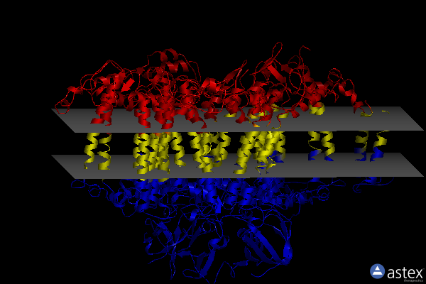 Membrane view of 6hqb