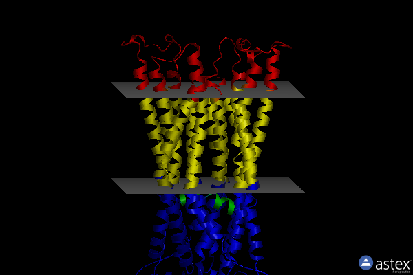 Membrane view of 6hrc