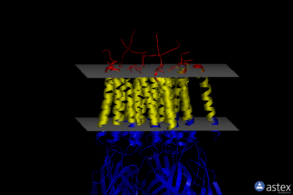 Membrane view of 6huk