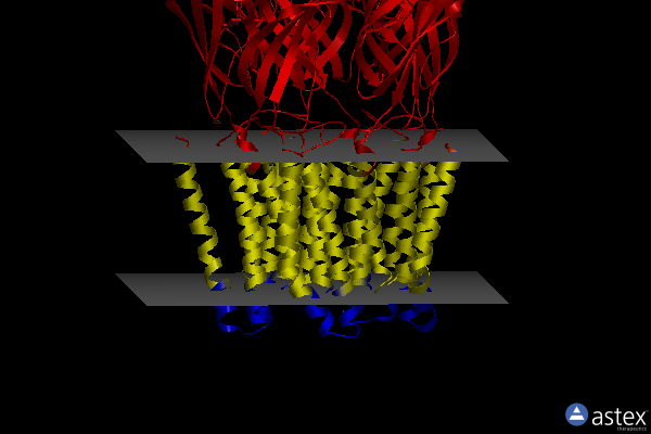 Membrane view of 6hy9
