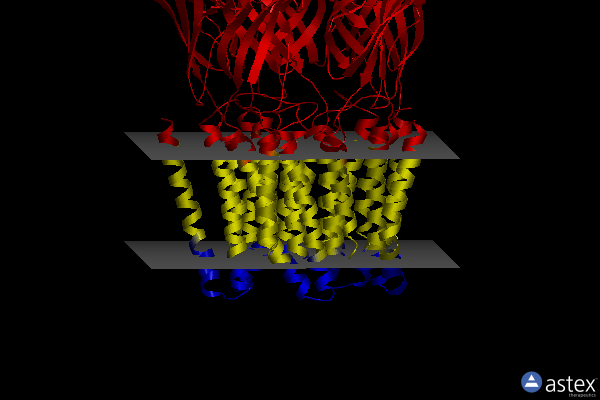 Membrane view of 6hya