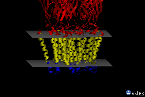 Membrane view of 6hyx