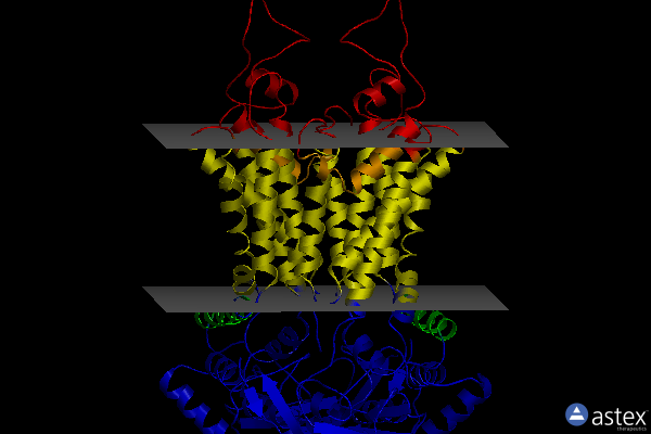 Membrane view of 6hzm