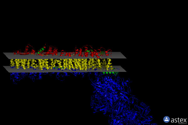 Membrane view of 6i1p