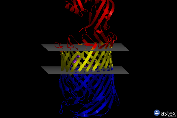 Membrane view of 6i97