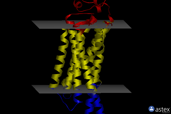 Membrane view of 6i9k