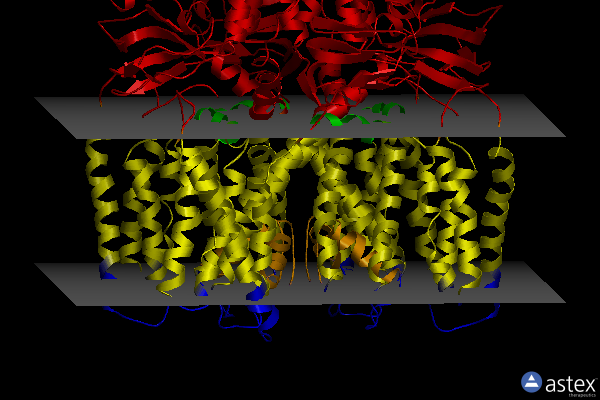 Membrane view of 6iax