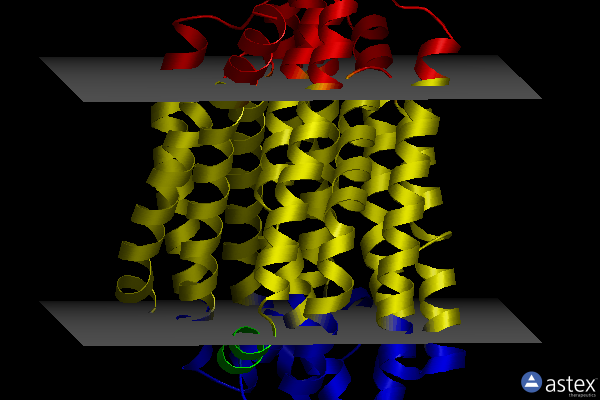 Membrane view of 6idp