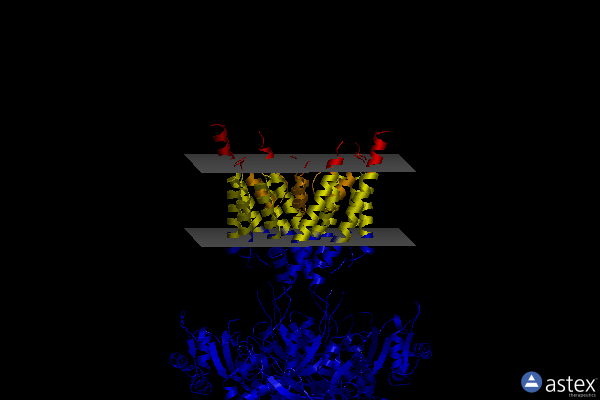 Membrane view of 6ira