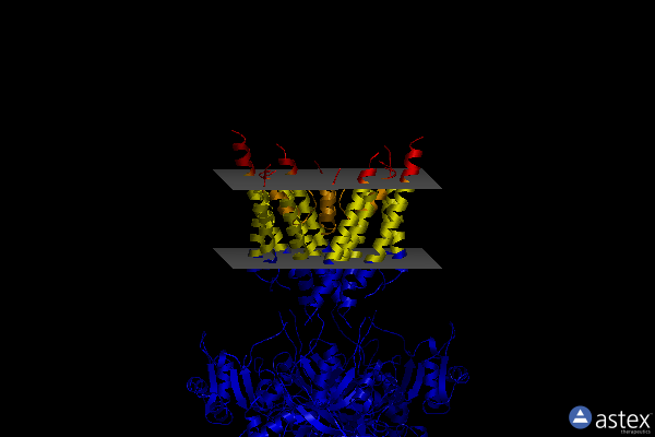 Membrane view of 6irg