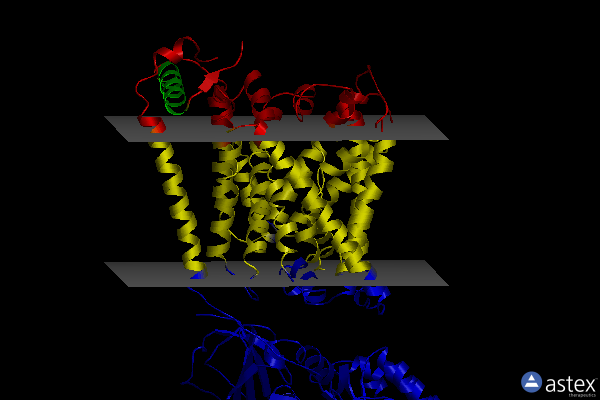 Membrane view of 6irt