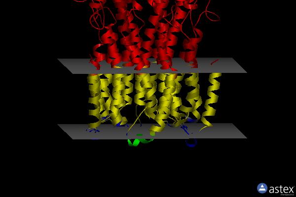 Membrane view of 6iv4