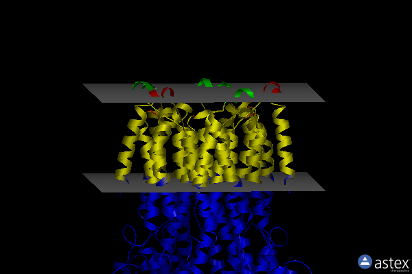 Membrane view of 6ivp