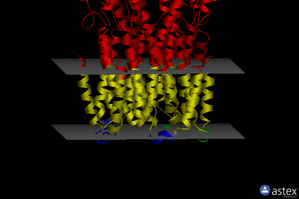 Membrane view of 6ivq