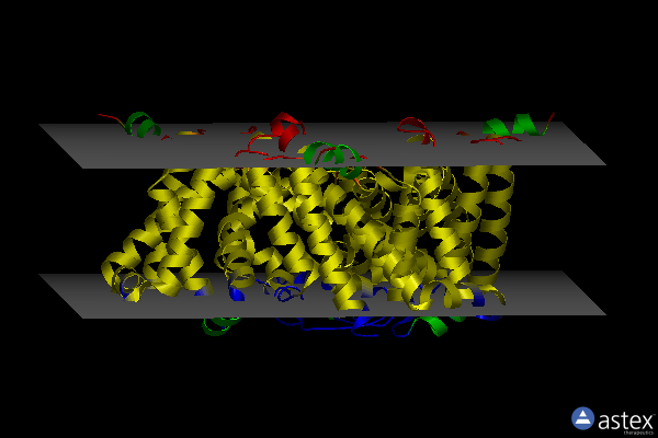 Membrane view of 6iyx