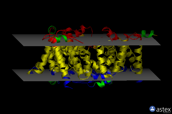 Membrane view of 6iz4
