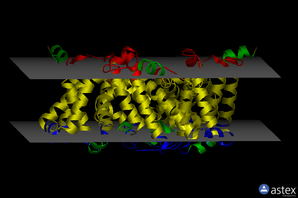 Membrane view of 6izf