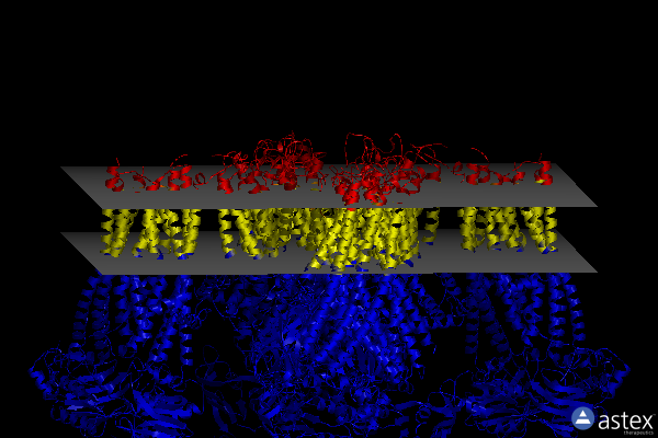 Membrane view of 6jb1