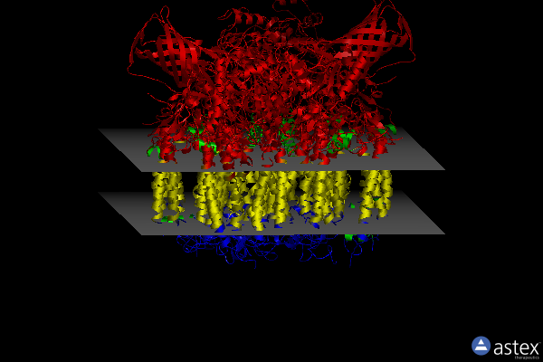 Membrane view of 6jlm