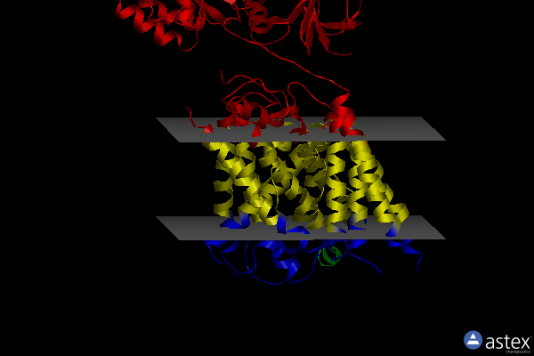 Membrane view of 6jmq
