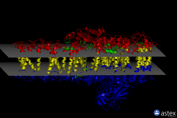Membrane view of 6jo6