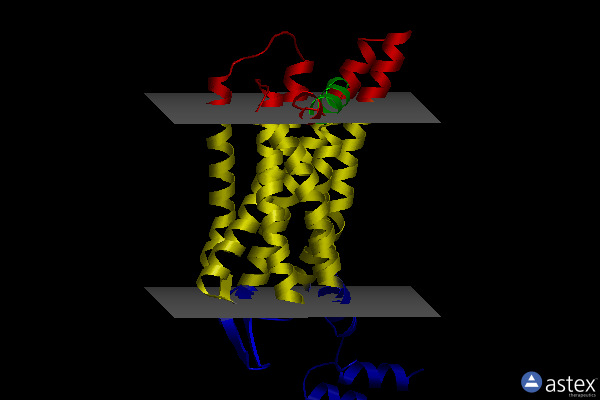 Membrane view of 6jod