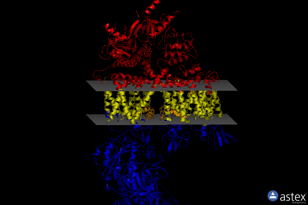 Membrane view of 6jp8