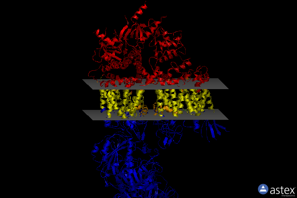 Membrane view of 6jpa