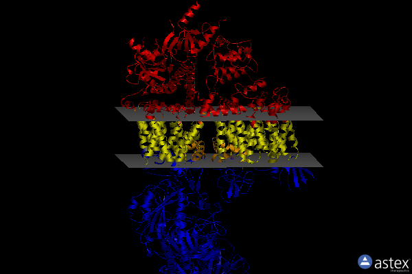 Membrane view of 6jpb