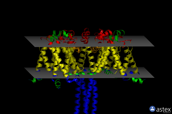 Membrane view of 6juh
