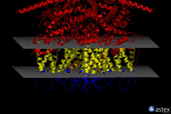 Membrane view of 6jzo