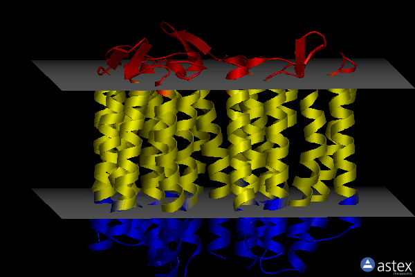 Membrane view of 6k6i
