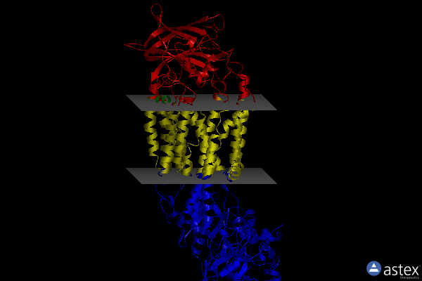 Membrane view of 6k7n