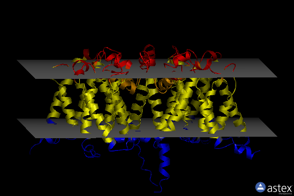 Membrane view of 6ke5