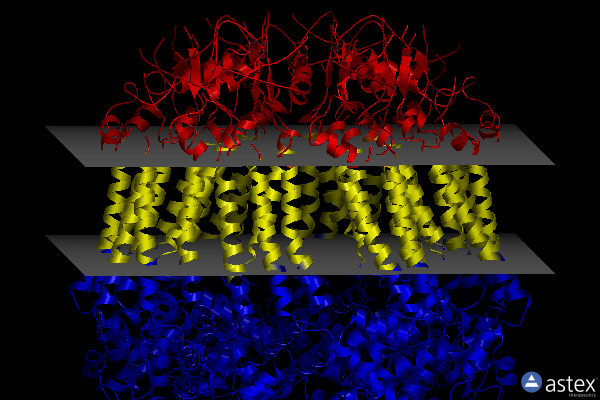 Membrane view of 6kff