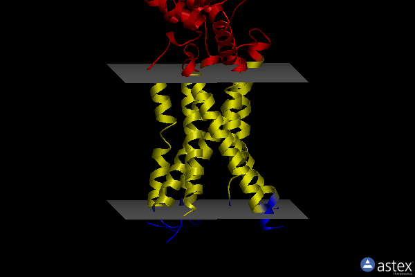 Membrane view of 6kjv