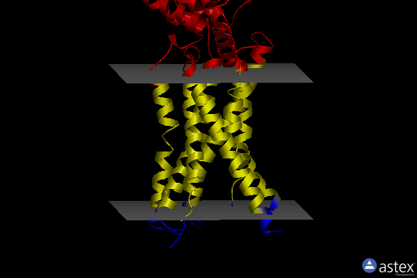 Membrane view of 6kk1