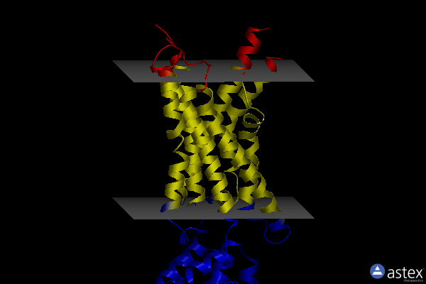 Membrane view of 6kk7