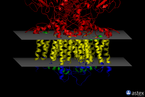 Membrane view of 6klv