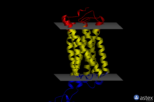 Membrane view of 6kpc
