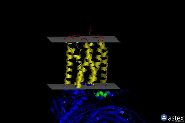 Membrane view of 6kpf
